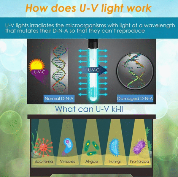 UV Aquarium Filter with Timer Dual Mode