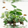 Aquarium Plant and Decoration Set with Sinking Wood set
