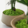 Screenshot 2025-11-27 at 12.49.53 Artificial Moss Decoration Pack