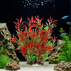 Screenshot 2025-11-30 at 14.51.16 Realistic Red and Green Aquarium Plant