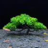 Screenshot 2025-11-30 at 15.03.47 Artificial Banyan Tree Aquarium Plant