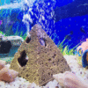 Screenshot 2025-11-30 at 15.42.18 Egyptian Pyramids Stone Cave Aquarium Ornament