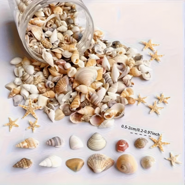 30g Assorted Mini Shells for Crafts and Aquariums